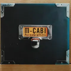 ROADREADY ロードレディー ベース用ツアーフライトケース 美品 ROADREADY ( ロードレディー ) RRGTRB ベース用ハードケース