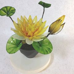 睡蓮（アメリカンフラワー） - メルカリ