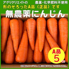 【農薬・化学肥料不使用】人参洗い5kg箱(保存袋プレゼント)