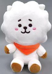 [중고] 봉제인형 RJ(진) BASIC PLUSH M [BT21]