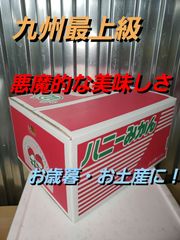 YNS青果店