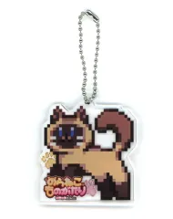 【中古】キーホルダー アクリルキーホルダー 「Switchソフト のらねこものがたり ねこねこEdition」 あみあみ購入特典