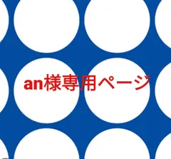 an様専用ページです。