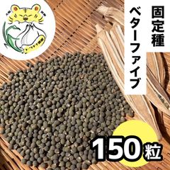 【わー】2L以上20kg｜農家直送・風干し半乾燥にんにく（土付き根付き） わー様専用】2L以上20kg｜農家直送・風干し半乾燥にんにく（土