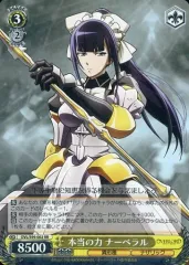 2025年最新】ヴァイス オーバーロード デッキの人気アイテム