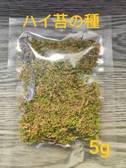 メルカリ最安値 図解説明書付き ハイ苔の種 5g 約20cm×約10cmサイズ！