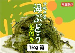 沖縄県産 海ぶどう B品 茎付き  1㎏ タレ付 送料込