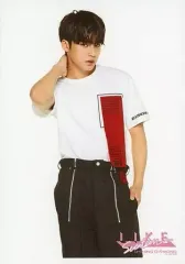 【中古】生写真(男性) SEVENTEEN/MINGYU(ミンギュ)/膝上・右手首元/「2016 ‘LIKE SEVENTEEN - Shining Diamond’ in Japan CONCERT」フォト