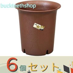 【園芸・農業用品】※６個セット※アップルウエア　陶鉢　深型　えび茶　４号