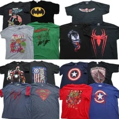 古着卸 まとめ売り マーベル DCコミック 半袖Tシャツ 15枚セット (メンズ XL ) バットマン キャプテンアメリカ アイアンマン 古着 NB3038