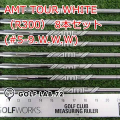 2025年最新】AmT r300の人気アイテム - メルカリ 