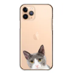 iPhone14Pro ケース カバー アイフォン14 プロ スマホケース ハードケース ねこ 猫 ネコ 子猫 黒猫 白猫 キジトラ オッドアイ かわいい 透明 クリア カラー06