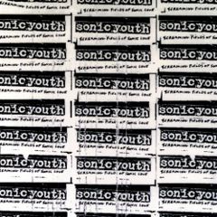 Sonic Youth Dirty 布地アウタースリーブ オレンジ盤 ポスター - メルカリ