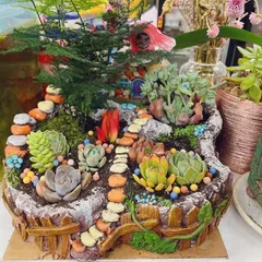 ５段トレー　多肉棚　プランター　スタンド　多肉植物棚　ラック　韓国苗　アガベ 楽天市場】フラワースタンド 多肉植物 棚 木製 3段 ガーデン