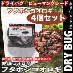 乾燥コオロギ【フタホシ】４個セット 両生類 爬虫類 小動物 爬虫類の餌 フード