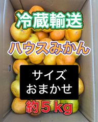 北海道沖縄追加送料無し 九州産ハウスみかん 約5kg クール便利用
