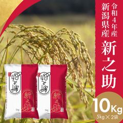 新潟県産 新之助 白米 10kg (5kg×2袋) しんのすけ お米  