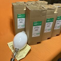 蛍光水銀ランプ(6個入) 東芝 HF700X