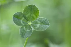 【けい様】専用ページ