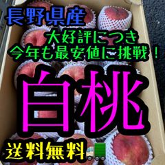 白桃、黄金桃12玉〜16玉入3.5kg〜　長野県産　クール便送料無料！　必ず商品説明を最後までご覧下さい。フォロワー様限定クーポン配布致します。桃　すもも