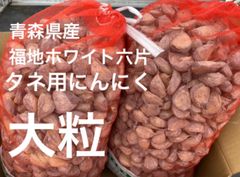 タネ用　青森県産にんにく　バラ中サイズ２kg  福地ホワイト六片