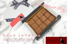 12個入り限定数あり　2/10より発送「生チョコ　ミルクカラメル」 　2025 バレンタインデー　ホワイトデー　プレゼント　チョコレート　ギフト　手作り　高級　ケーキ　ショコラ　ボンボン　友チョコ　義理チョコ　ご褒美　生クリーム