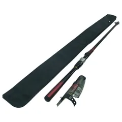 2025年最新】竿 飛竜の人気アイテム - メルカリ