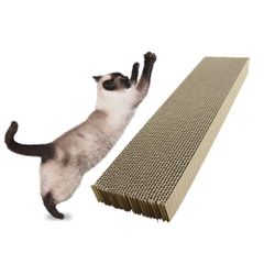 Item thumbnail for item b453240b-86aa-4812-be3c-461f0532ad75