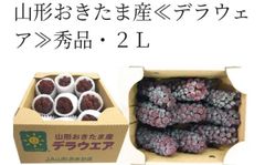山形おきたま産 2kg 2L(9~11房入)化粧箱付 【種無し葡萄　デラウェア】