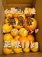 期間限定！！[ワケアリ]和歌山県産無農薬ネーブルオレンジ 正味10kg