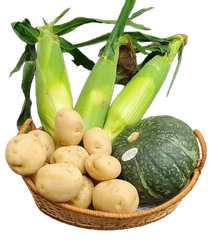 野菜セット　こだわりの完熟南瓜１個、とうもろこし６本、三方原じゃが芋３㎏