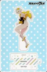 2026年最新】閃乱カグラ tenの人気アイテム - メルカリ