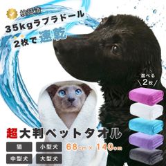 Item thumbnail for item 4e898a1e-c89c-41f1-99a7-fb317fad7690