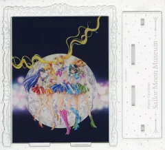 【中古】アクリルスタンド・アクリルパネル 集合(5人) 描き下ろしアクリルスタンドフィギュア 「美少女戦士セーラームーンミュージアム」