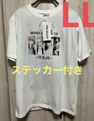 WIND BREAKER　ルームウェア　上下　LLサイズ　新品