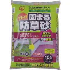 2025年最新】L