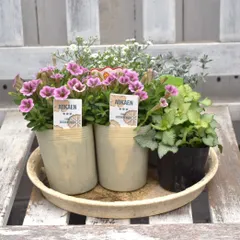 ももちゃん様専用ページ