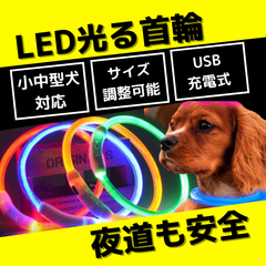 M ホワイト　LED 光る首輪　夜道　散歩　安全　犬　小型犬　中型犬　3段点灯