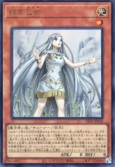 2025年最新】白き乙女 25の人気アイテム - メルカリ