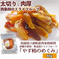 【鳥取県産西条柿使用】ドライフルーツ「やず柿のめぐみ」40g×1袋【メルカニ】