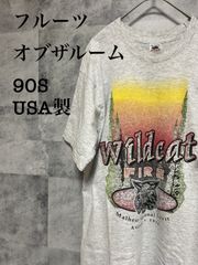 シングル 90S フルーツオブザルーム USA  ヴィンテージTシャツ