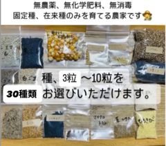無農薬　無科学肥料　無消毒　種子