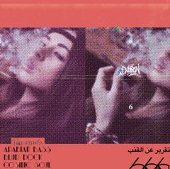 ENDRUN / Budsreport6 [CD]