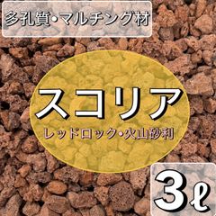スコリア　火山砂利　3L アクアリウム　多肉植物　サボテン　溶岩　水槽