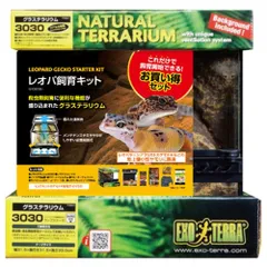 2025年最新】ヒョウモントカゲモドキ飼育セットの人気アイテム