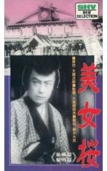 Item thumbnail for item 63714487-b673-4f93-95b6-9287ef34f36d