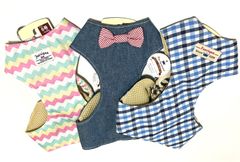 Item thumbnail for item 741544bb-f95b-47c5-bf1d-8ed4c2d7134d