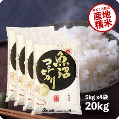 米 魚沼産コシヒカリ20kg  お米 令和5年産 白米