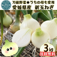 【甘ーい！市場直送でコスパ◎】新玉葱3Kg　国産　瀬戸内の越冬新玉ねぎ　3Kg 野菜　たまねぎ