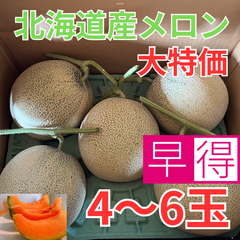 北海道産メロン　4〜7玉　計8kg箱